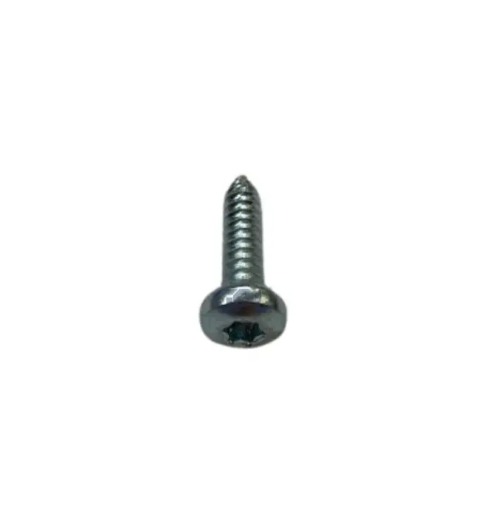 Vis 6,3X25 Rts Torx Fzb Bon Marché