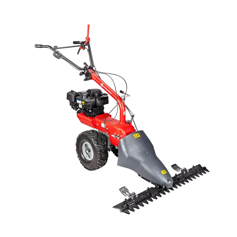 Commander Vite Eurosystems P70 (Briggs & Stratton) – Pack motofaucheuse