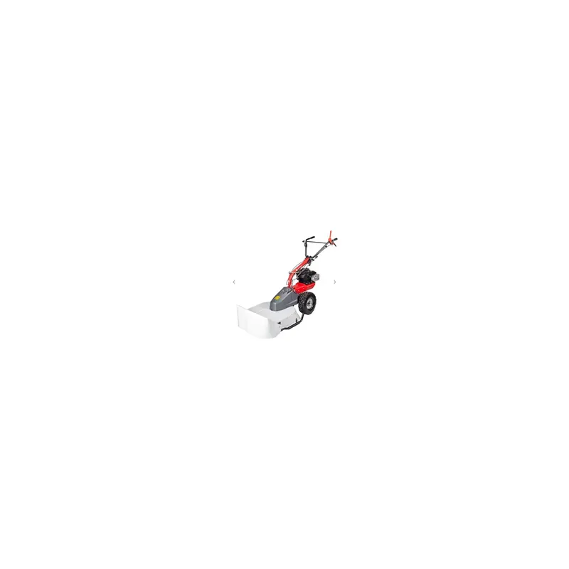 Meilleur Prix Eurosystems P70 (Briggs & Stratton) – Pack tondeuse débroussailleuse