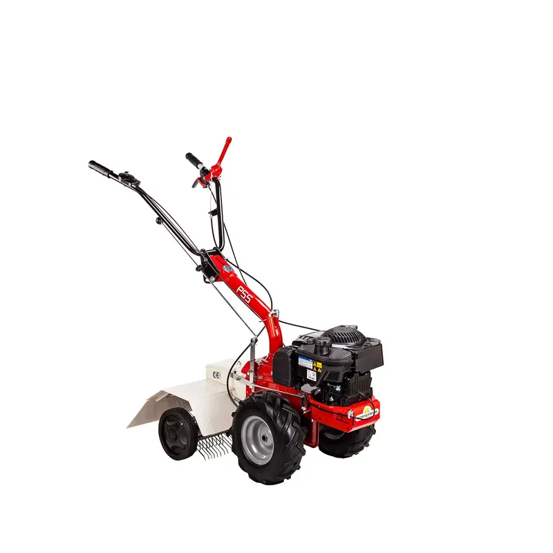 Jusqu&rsquo;à Épuisement Des Stocks Eurosystems P55 (Honda) – Pack scarificateur