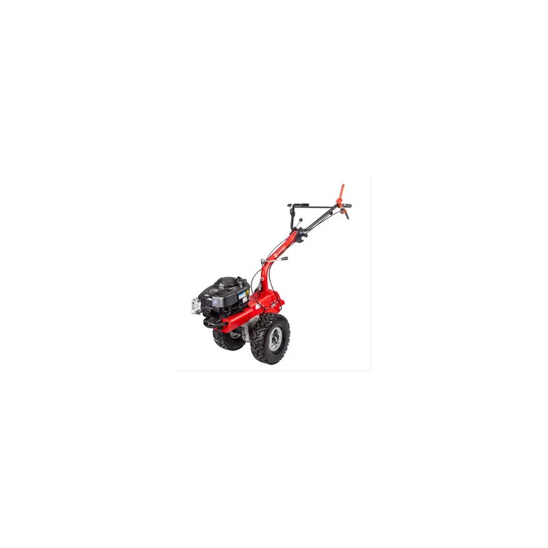 Marque Eurosystems P70 (Briggs & Stratton) - Cellule porte-outils