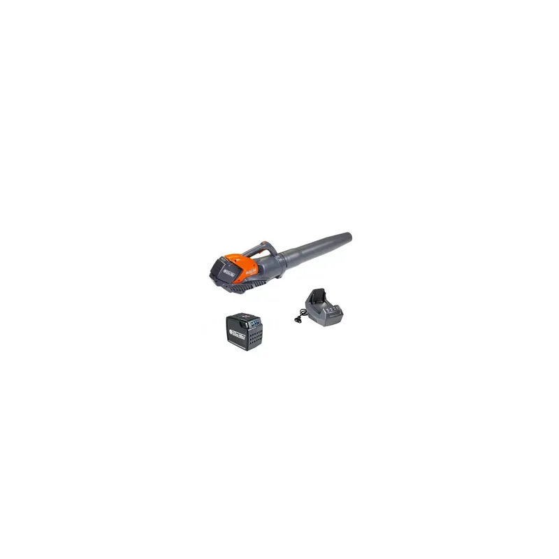 Offre Spéciale Oleo-mac BVI60 5 Ah – Pack souffleur à batterie