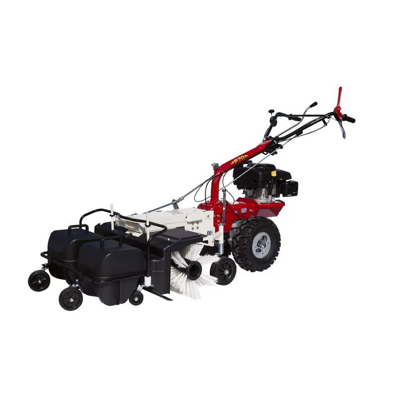 Solde Eurosystems 907230700 – Balai avec bac pour P70