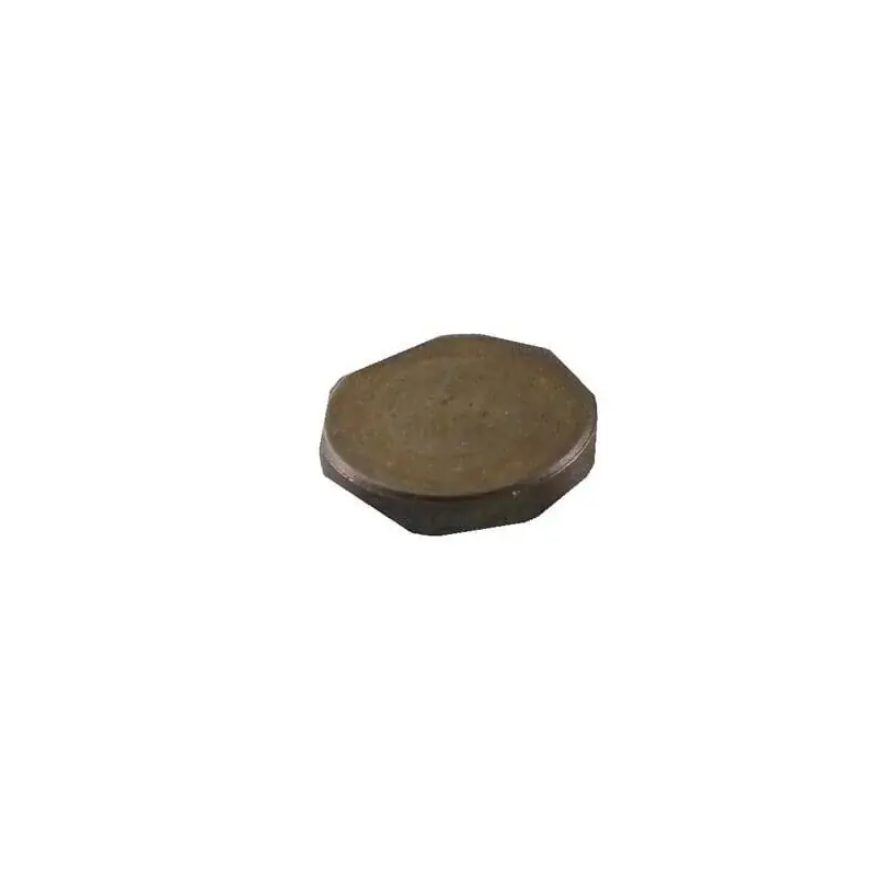 Populaire Capuchon BRIGGS ET STRATTON 691300