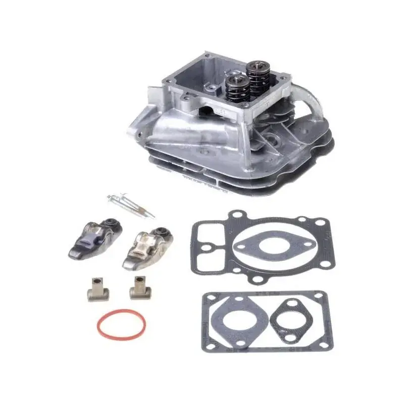 Culasse BRIGGS ET STRATTON 84001918 Bon Plan