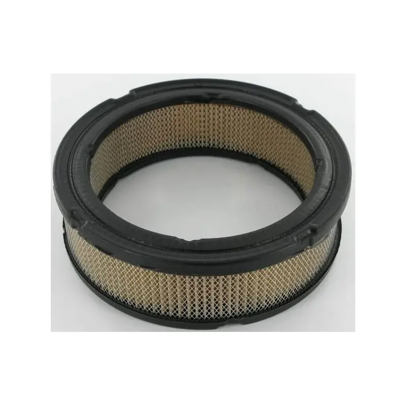 Filtre BRIGGS ET STRATTON 841359 Meilleur Choix