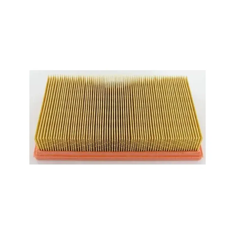 Filtre LOMBARDINI 2175164 Paiement Sécurisé