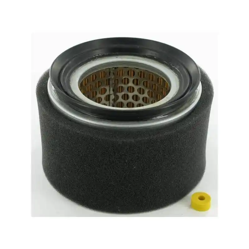 Filtre LOMBARDINI 2175254 Acheter En Ligne