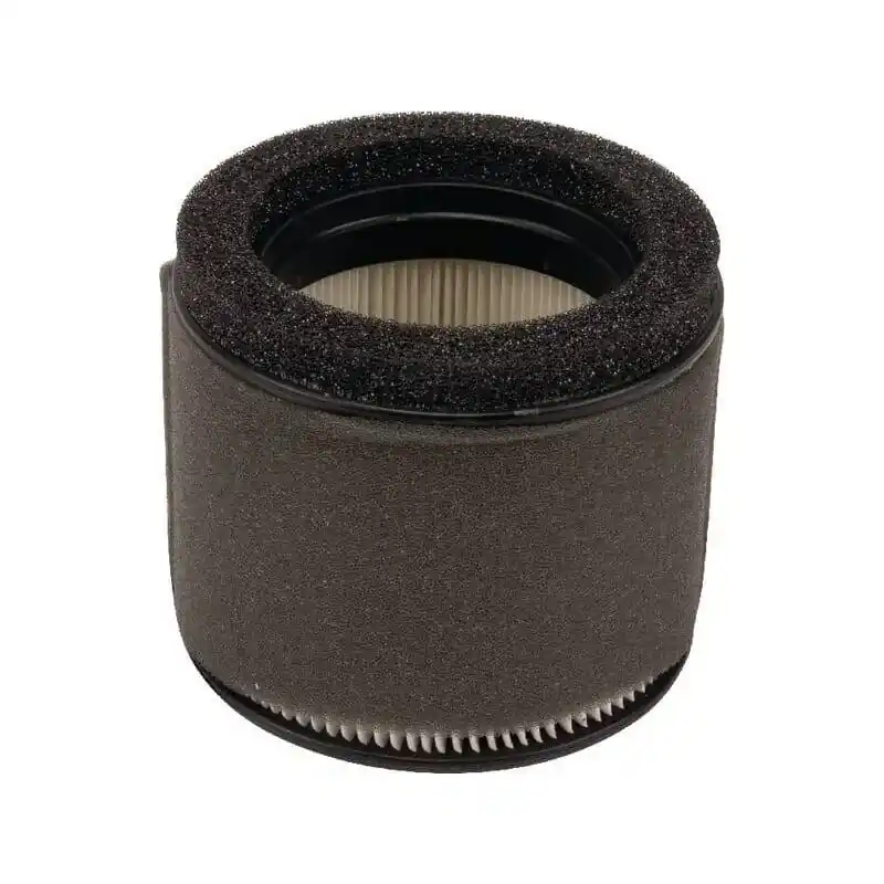 Top Vente Filtre KAWASAKI 110290032