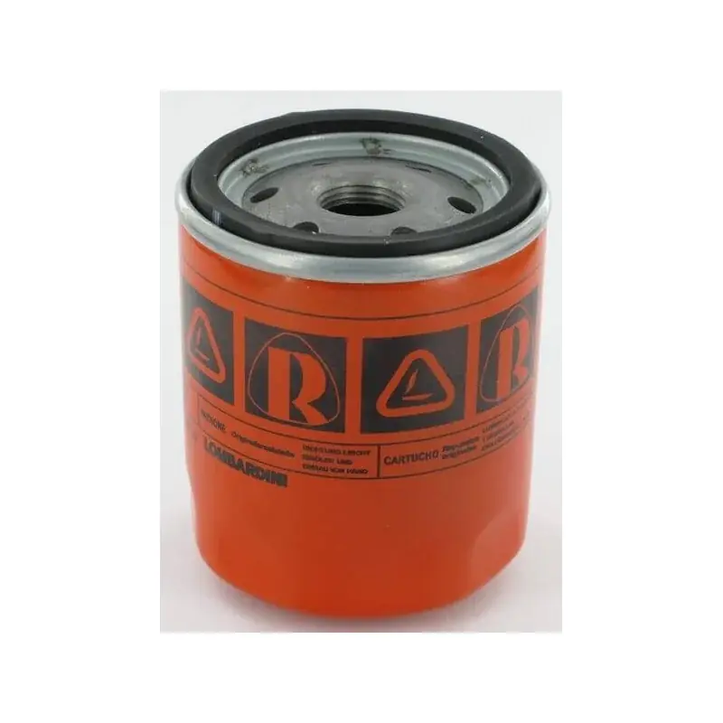 Filtre LOMBARDINI 2175284 Promotion Saisonnière