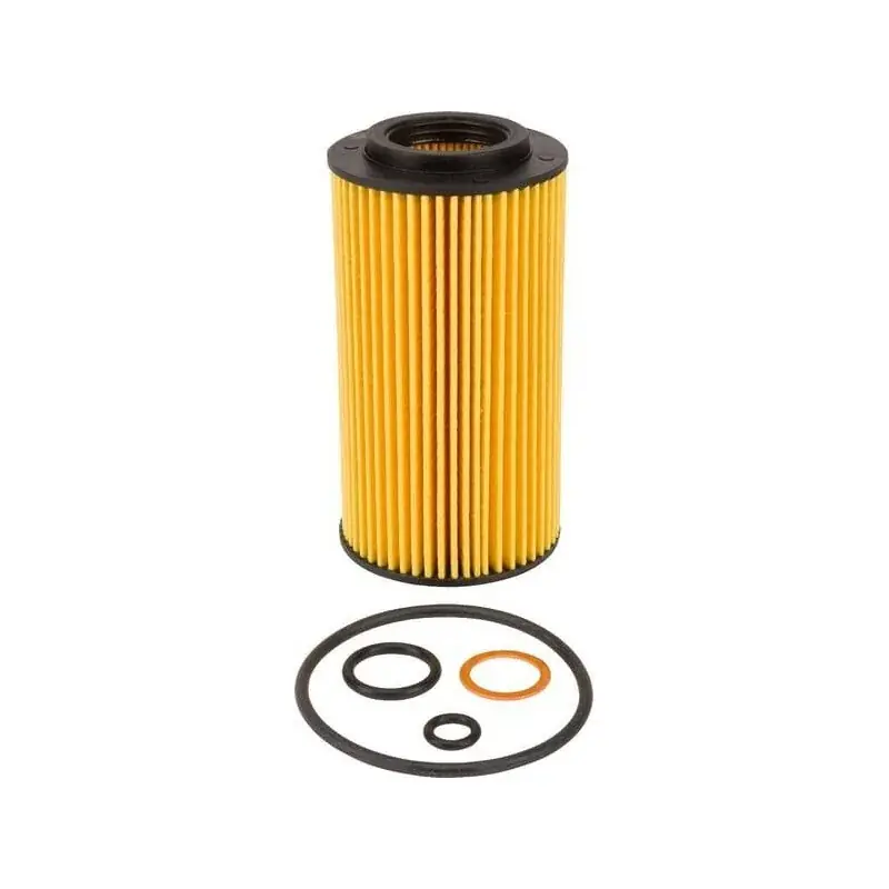 Must-Have Filtre LOMBARDINI 2175001