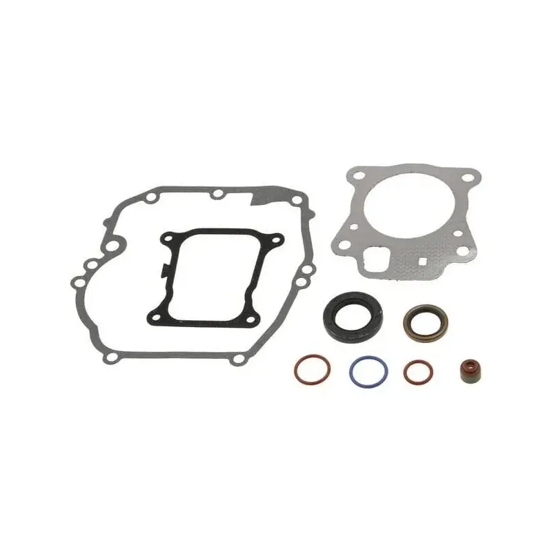 Jeu de joints BRIGGS ET STRATTON 597320 Livraison Express