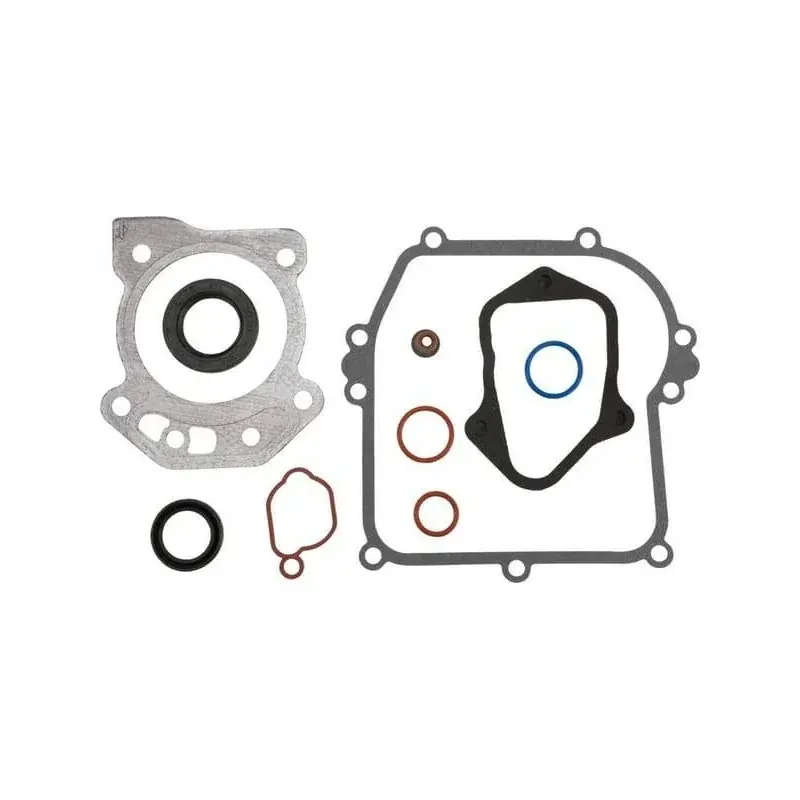 Jeu de joints BRIGGS ET STRATTON 84006591 Petit Prix