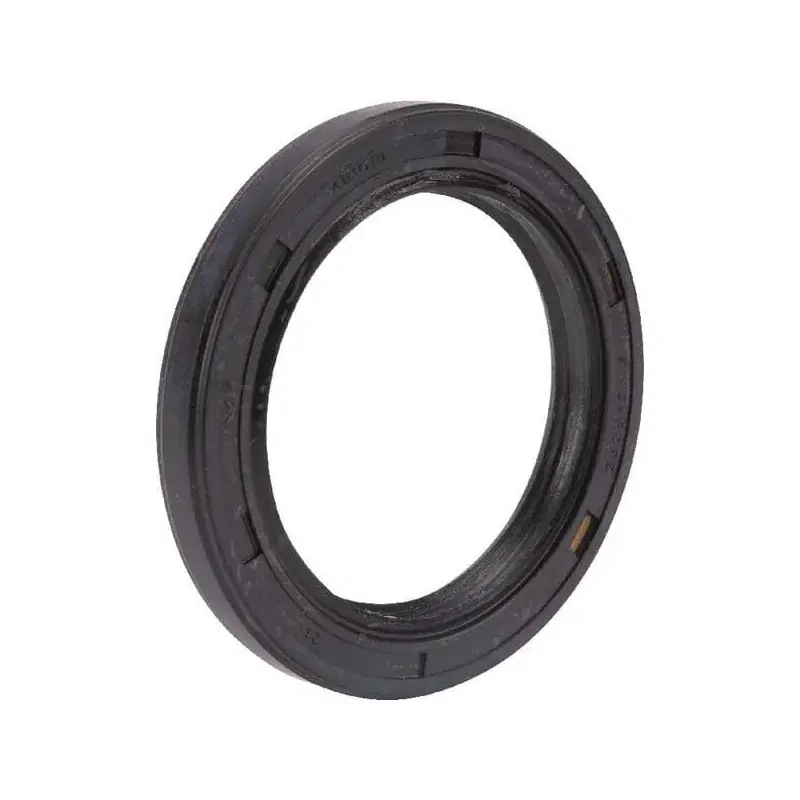 Joint BRIGGS ET STRATTON 491019 Offre Exclusive