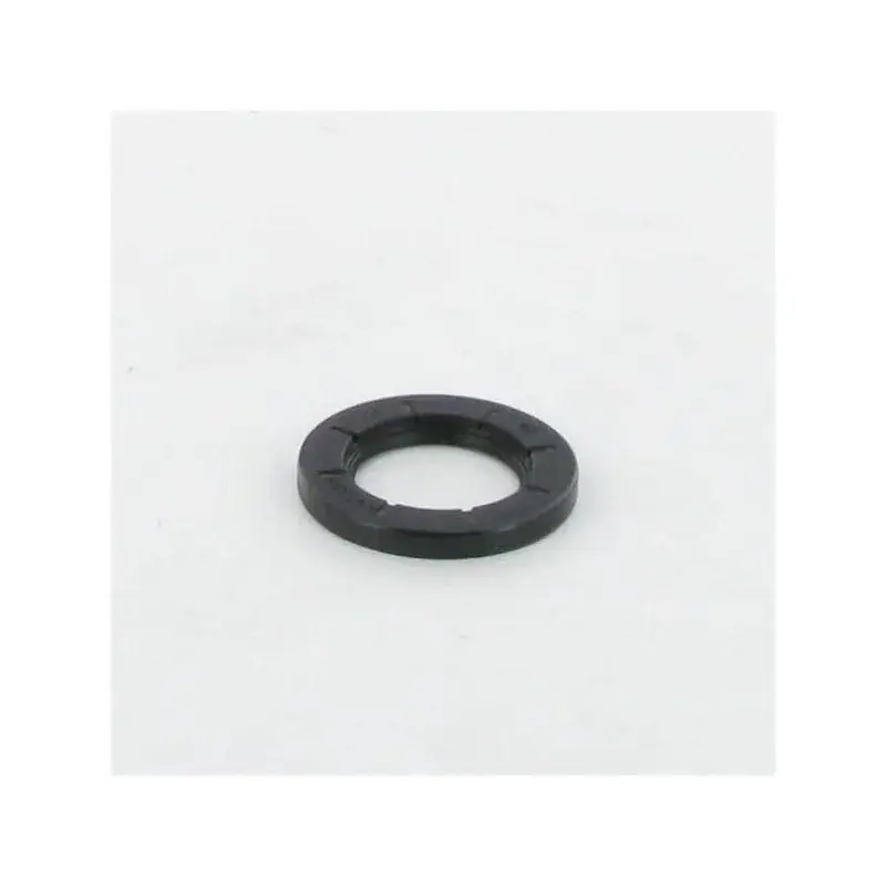 Joint BRIGGS ET STRATTON 495307S Prix Promo