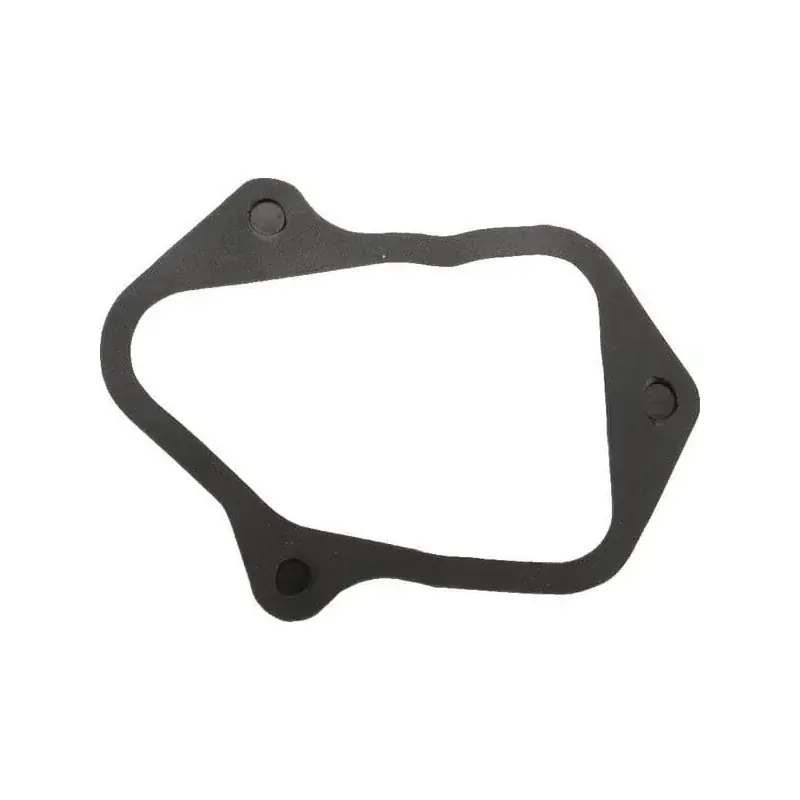 Seulement Aujourd&rsquo;hui Joint BRIGGS ET STRATTON 84006588