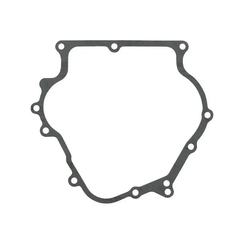 Dernière Chance Joint BRIGGS ET STRATTON 710378
