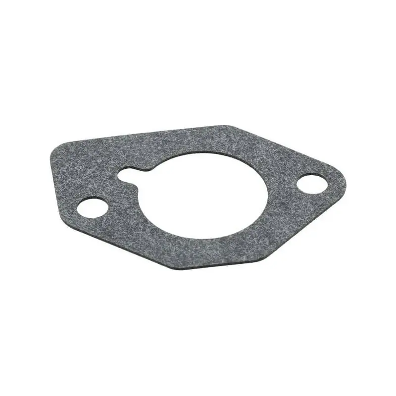 Dernier Modèle Joint BRIGGS ET STRATTON 793412
