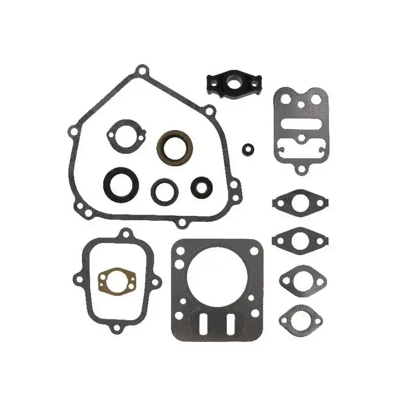 Retour Gratuit Kit BRIGGS ET STRATTON 698216