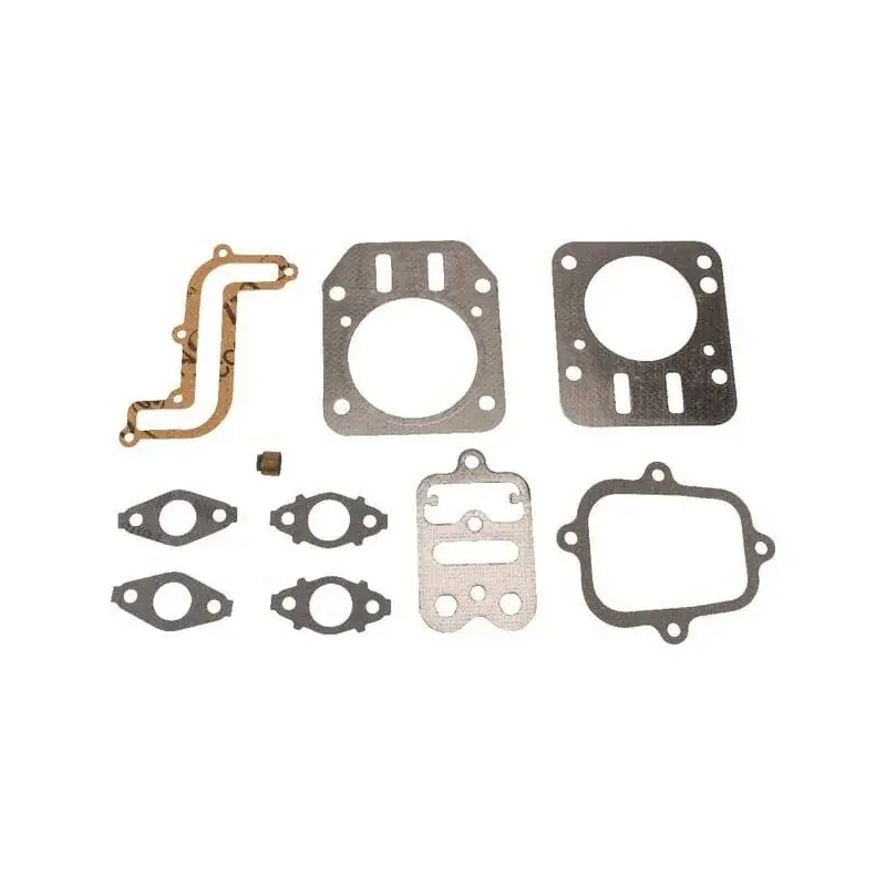 Nouvelle Collection Kit BRIGGS ET STRATTON 791798