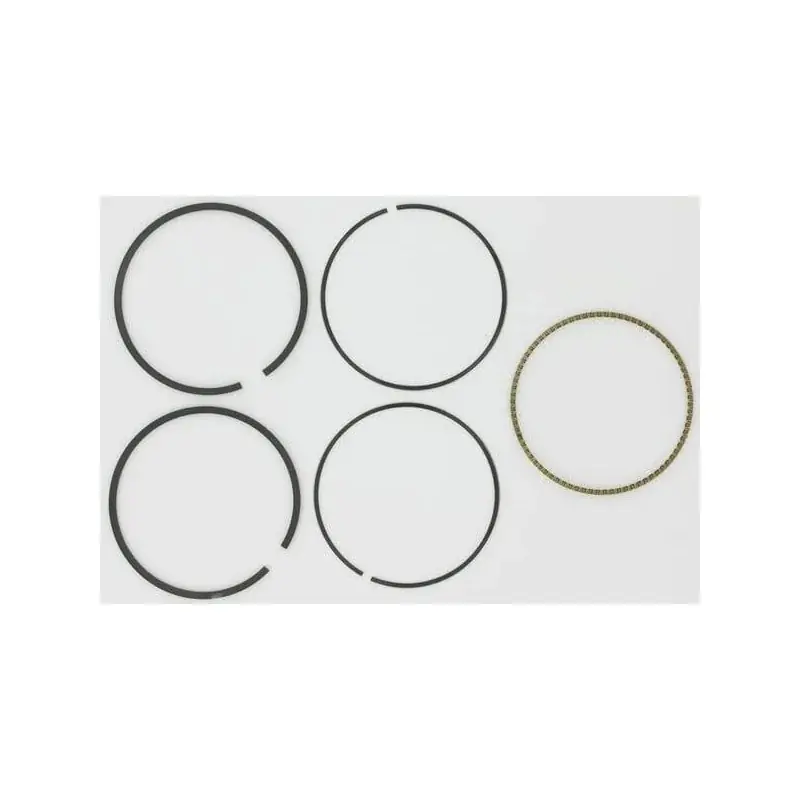 Meilleur Prix Kit BRIGGS ET STRATTON 793435