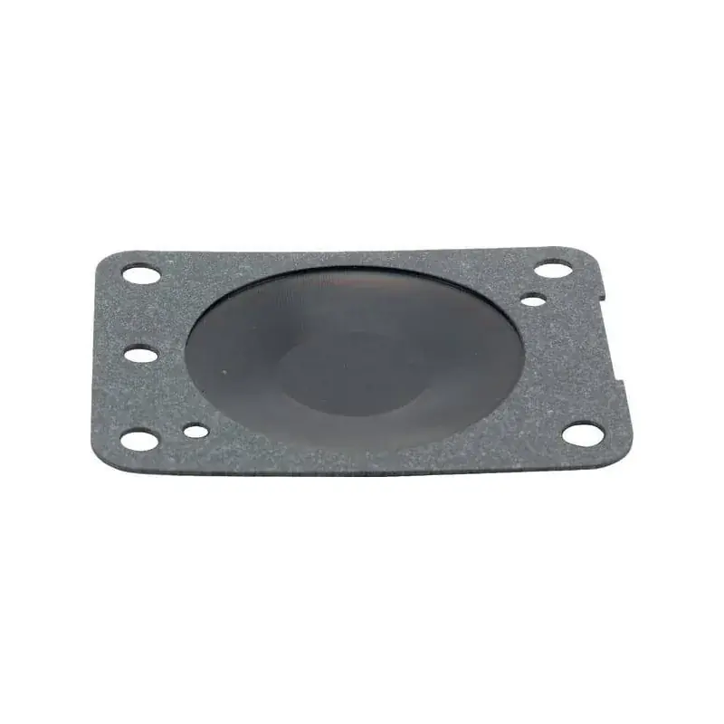 Meilleur Choix Membrane BRIGGS ET STRATTON 693488