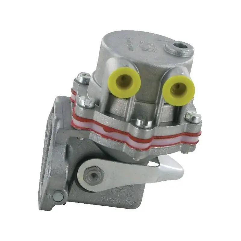 Pompe LOMBARDINI 6585151 Remise