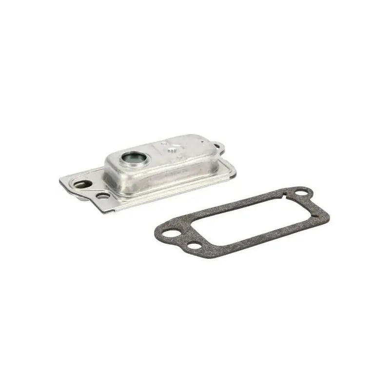 Prix Promo Reniflard BRIGGS ET STRATTON 590395