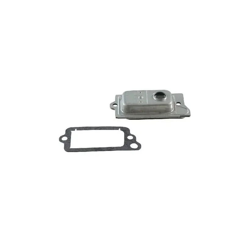 Purgeur BRIGGS ET STRATTON 791779 Acheter Direct