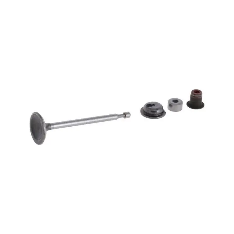 Remise Soupape d‘admission BRIGGS ET STRATTON 590530