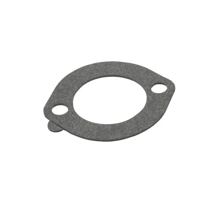 Offre Du Jour Joint de filtre à air BRIGGS ET STRATTON 272948S