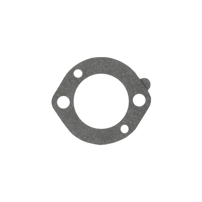 Joint de filtre à air BRIGGS ET STRATTON 696024 Nouvelle Collection