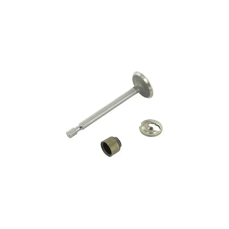 Retour Gratuit Soupape d‘admission Briggs et Stratton 795443