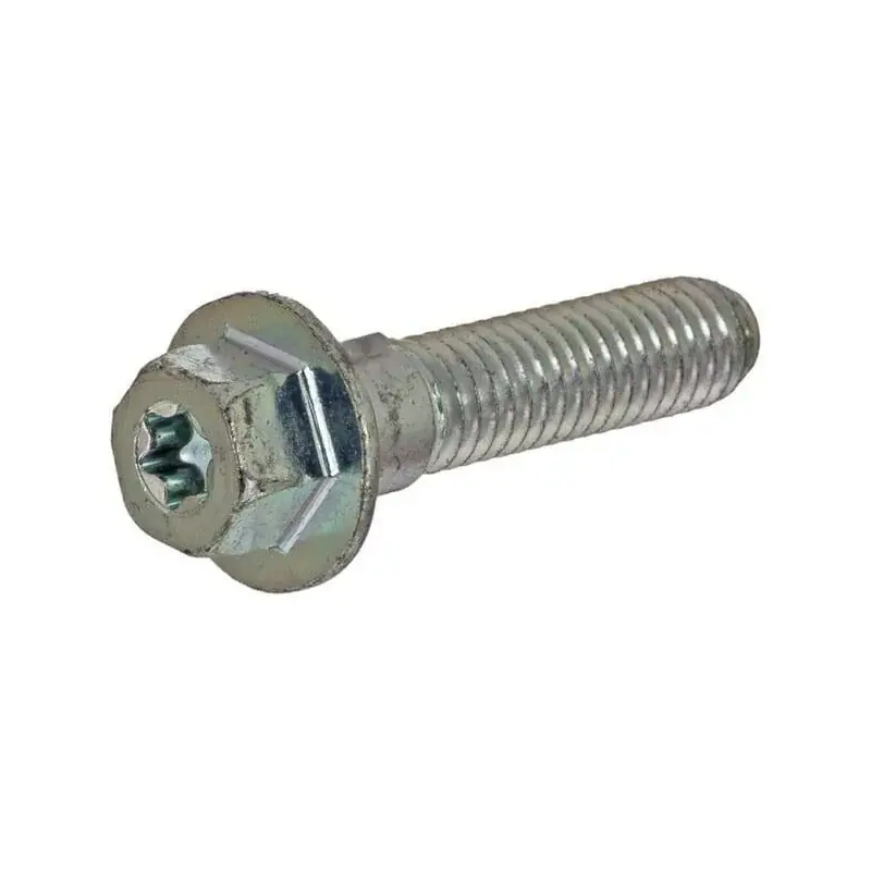 Authentique Vis BRIGGS ET STRATTON 793458