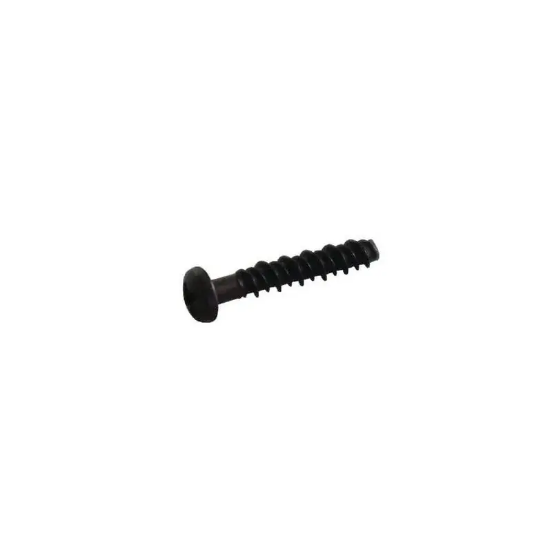 Réduction Vis BRIGGS ET STRATTON 691138