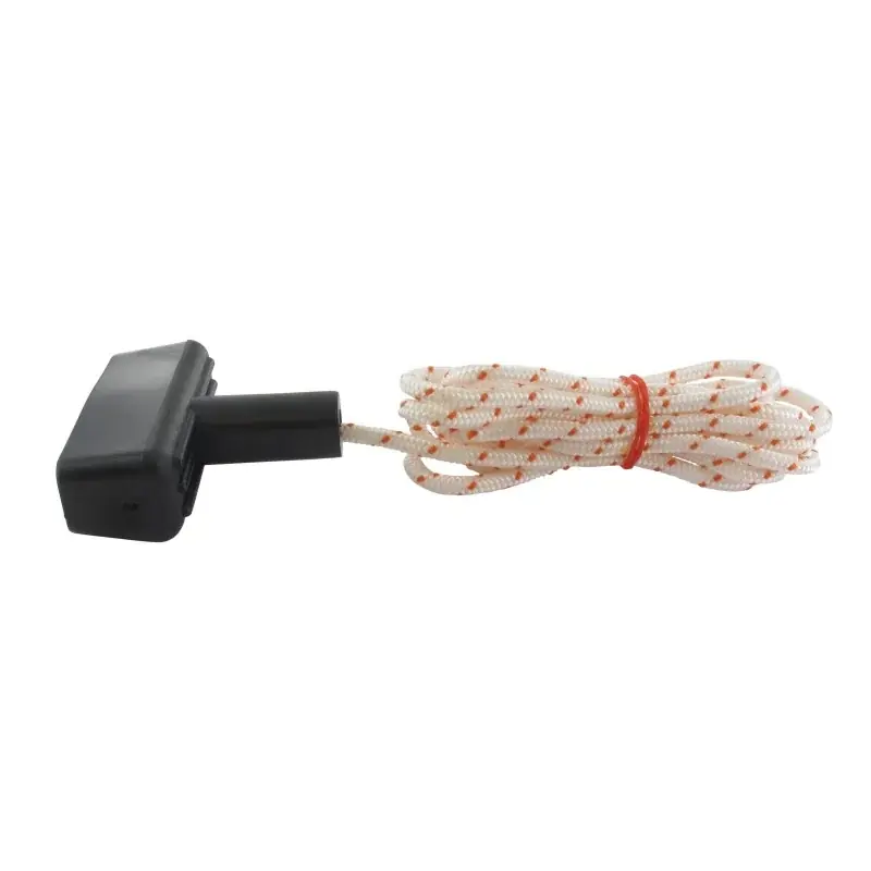 Offre Du Jour Lanceur complet BRIGGS ET STRATTON 334985