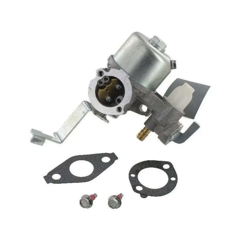 Carburateur Briggs et Stratton 698558 – 796447 Offre Exclusive