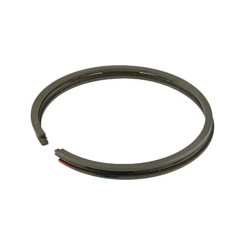 Segments BRIGGS ET STRATTON 499604 Affaire À Saisir