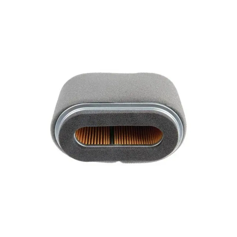 Acheter En Ligne Filtre à air HONDA 17210Z1E801 – 17210-Z1E-801